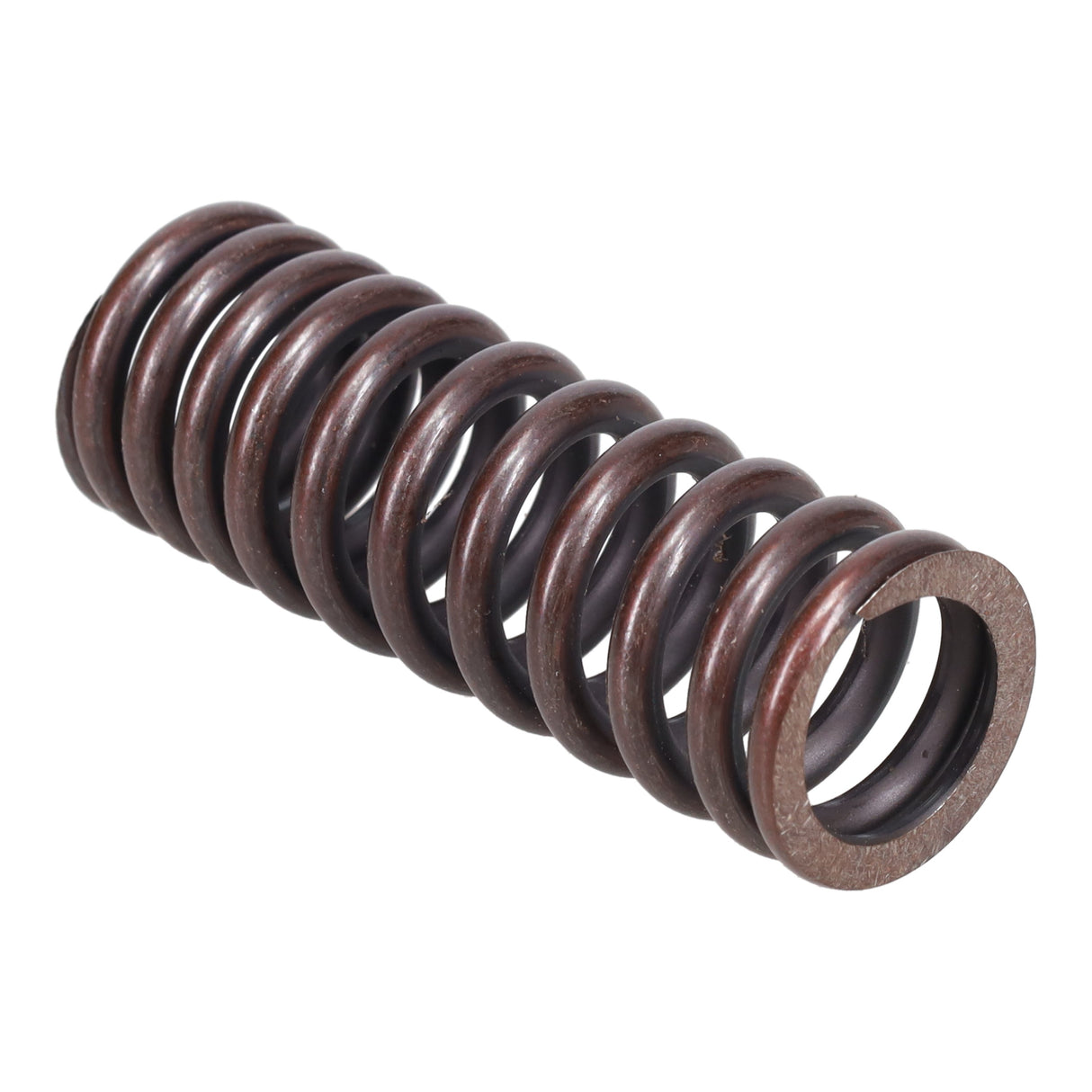 Valve Spring