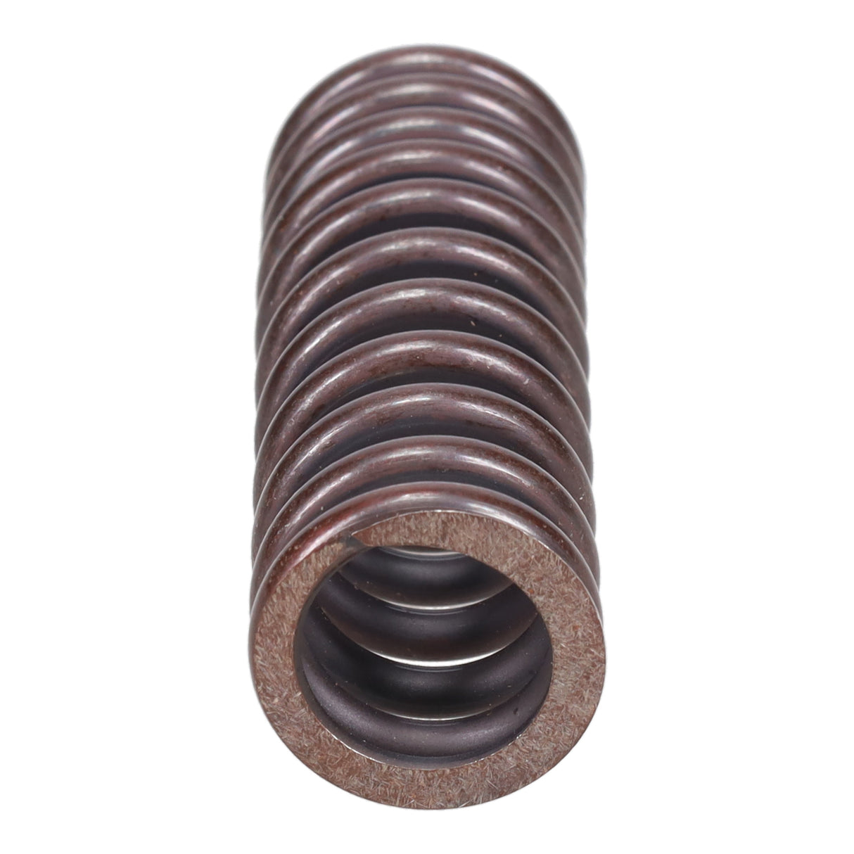 Valve Spring