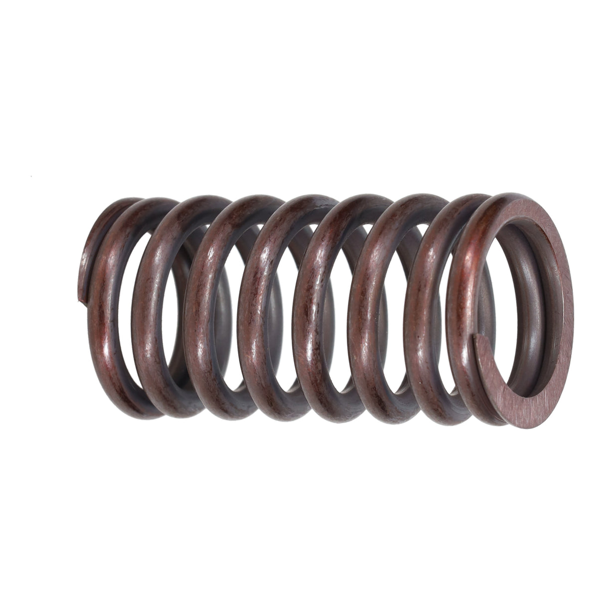 Valve Spring