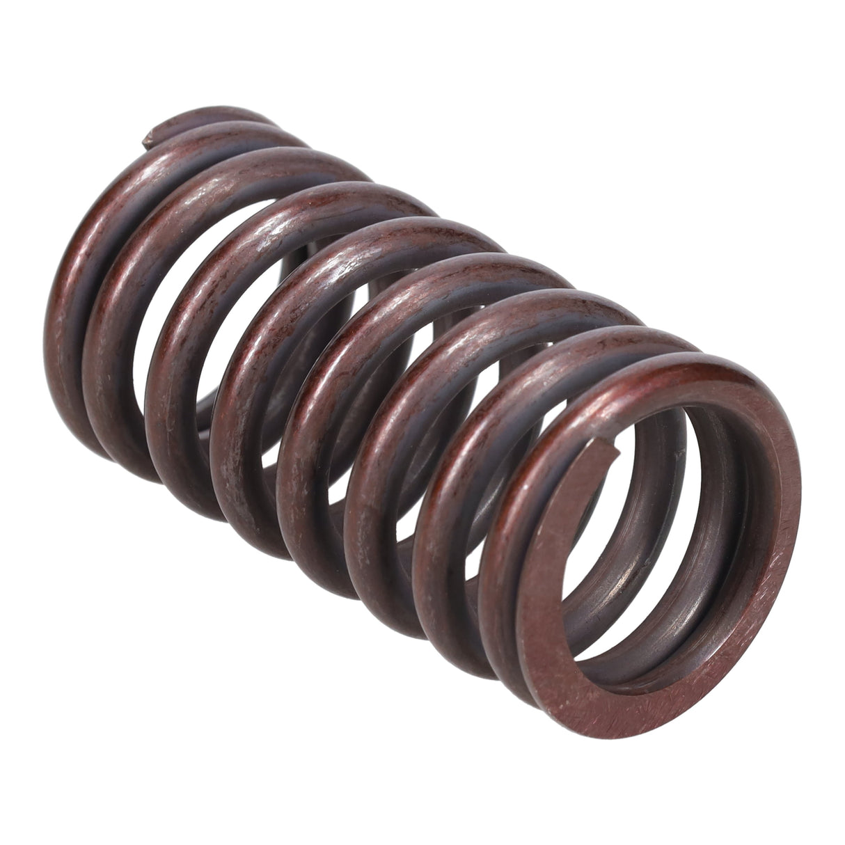 Valve Spring