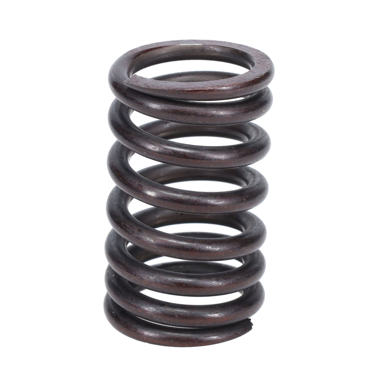 Valve Spring