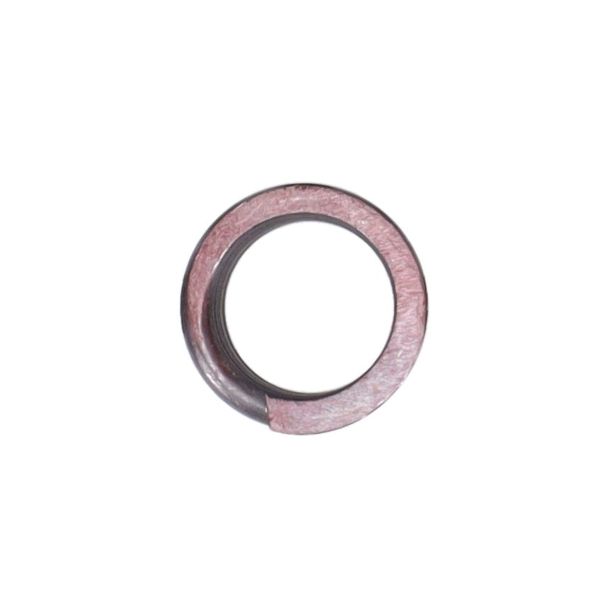 Valve Spring