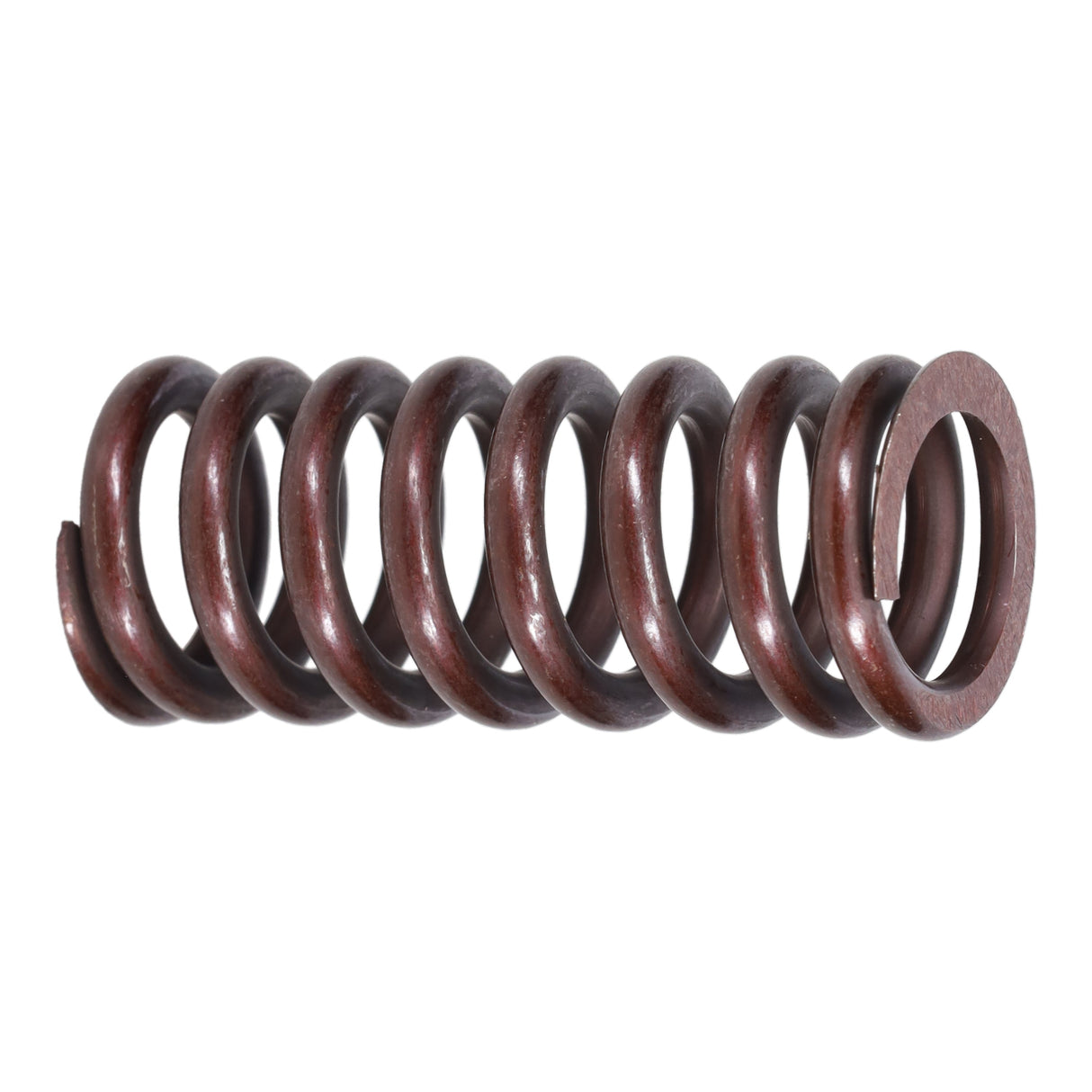 Valve Spring