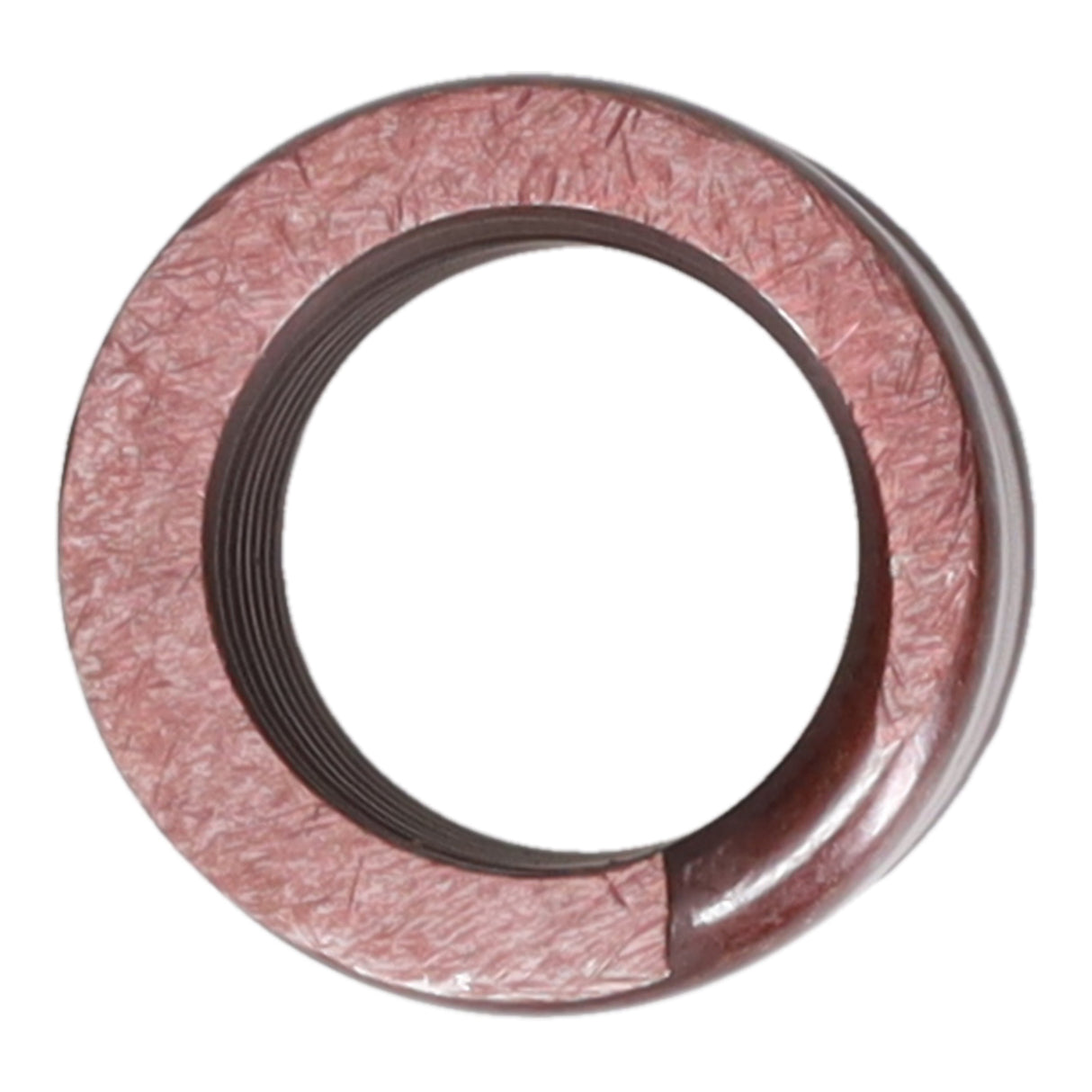 Valve Spring