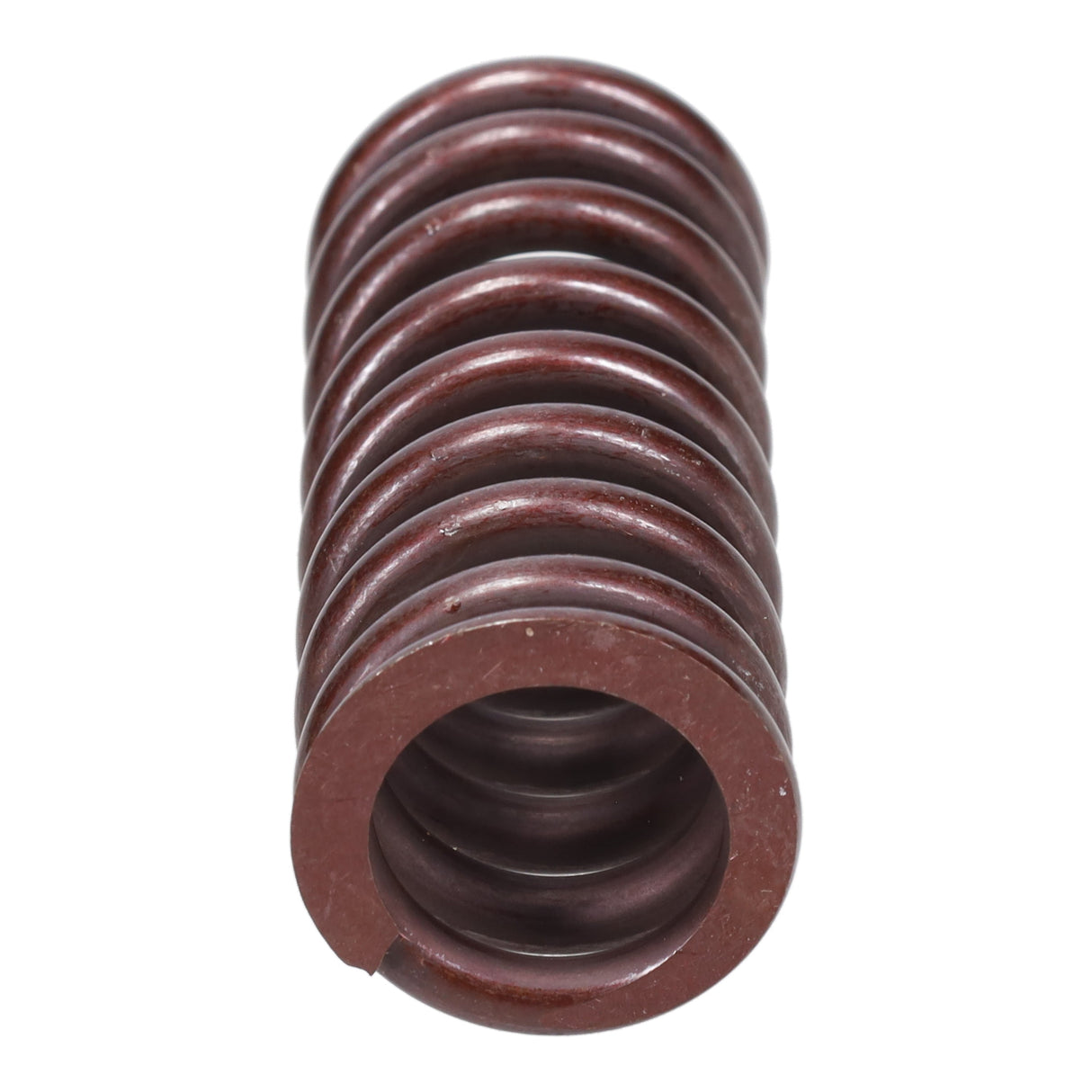 Valve Spring