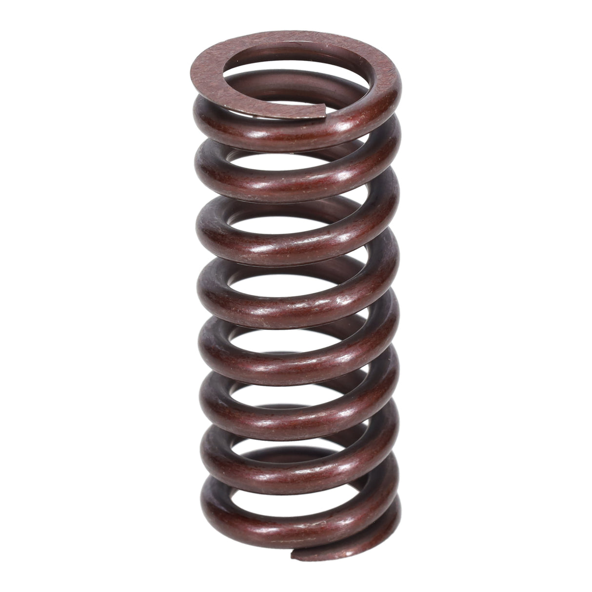 Valve Spring
