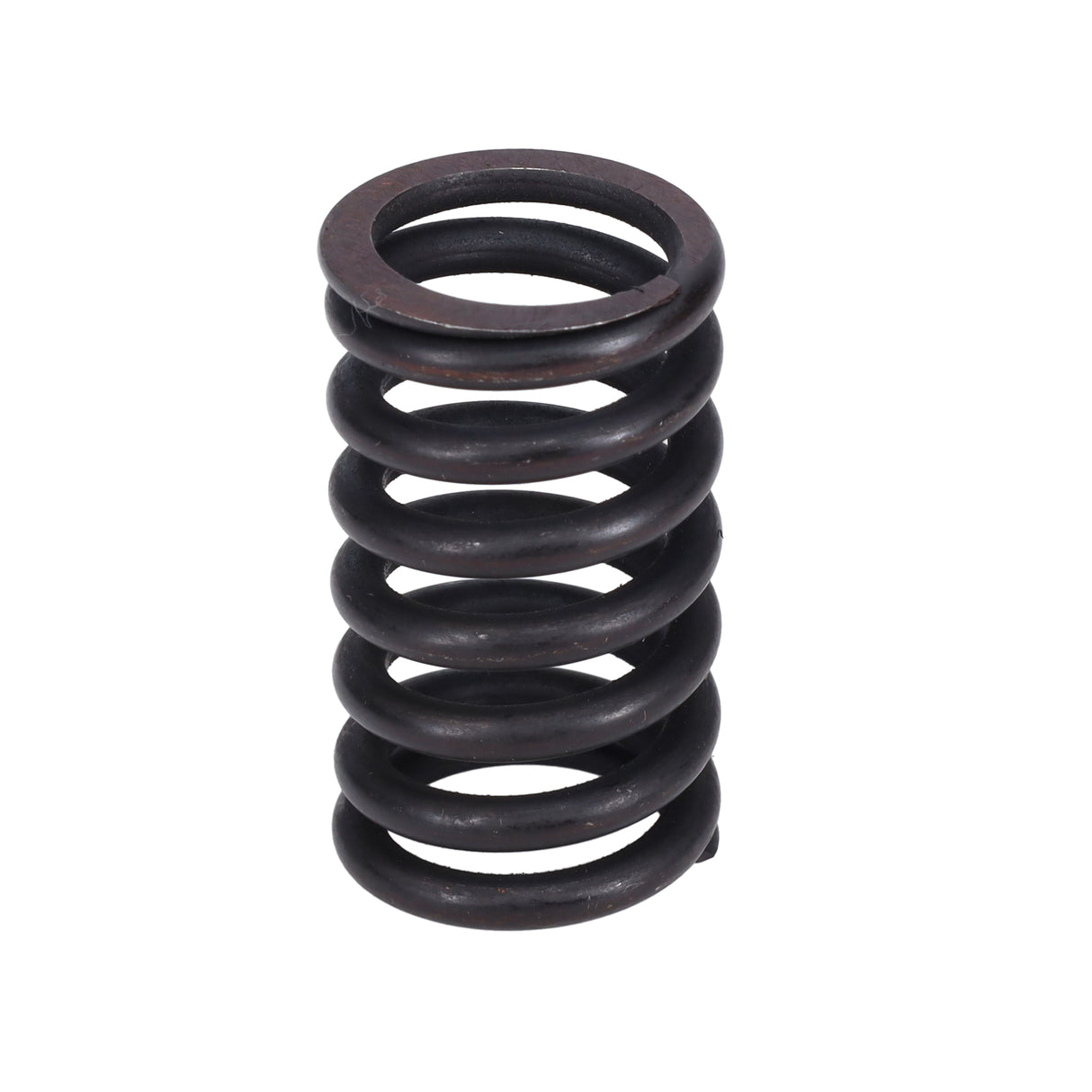 Valve Spring