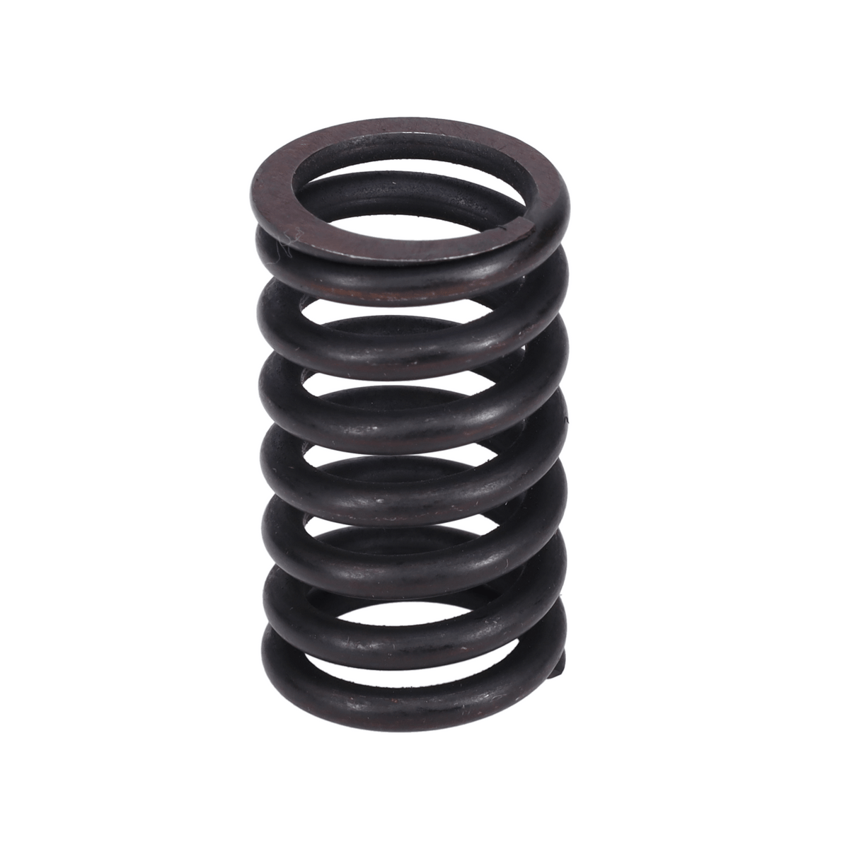 Valve Spring