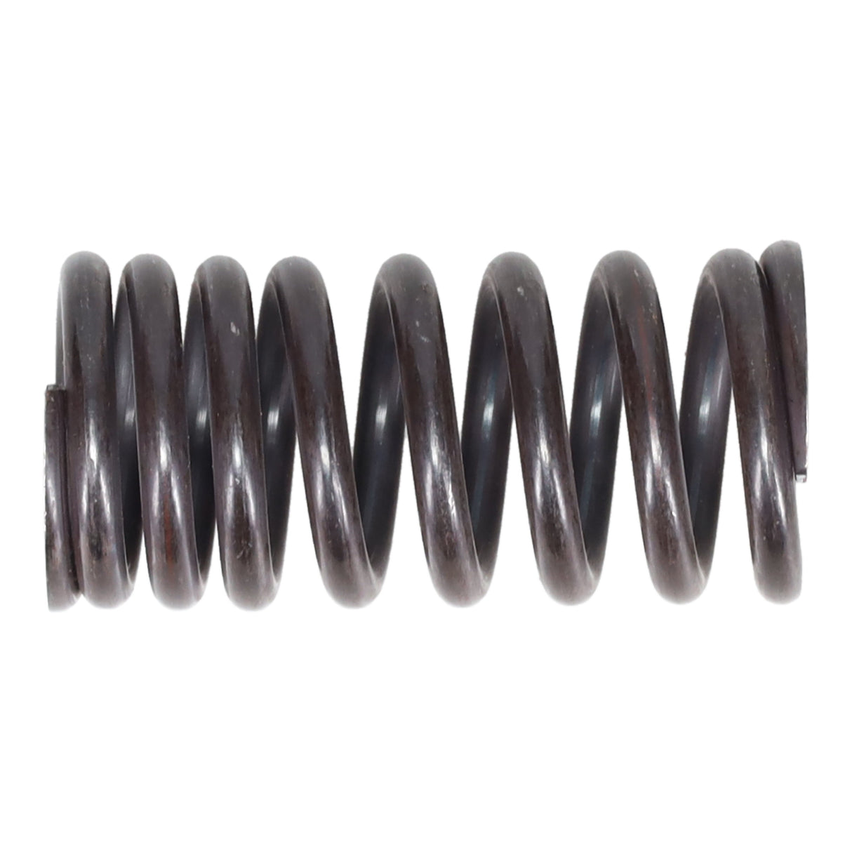 Valve Spring