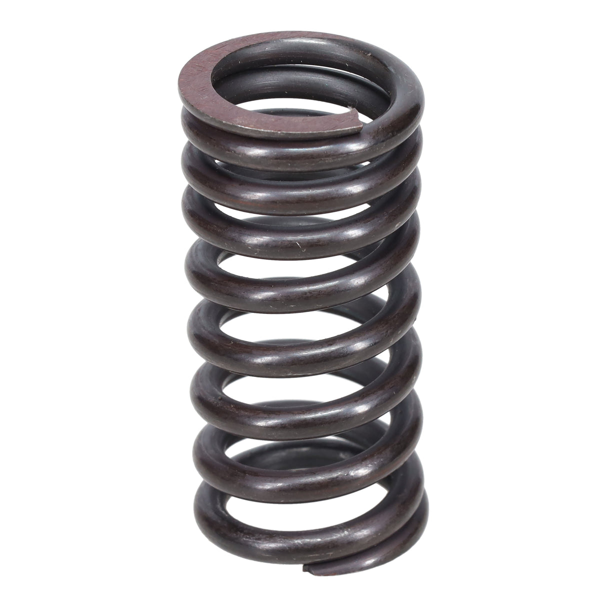 Valve Spring