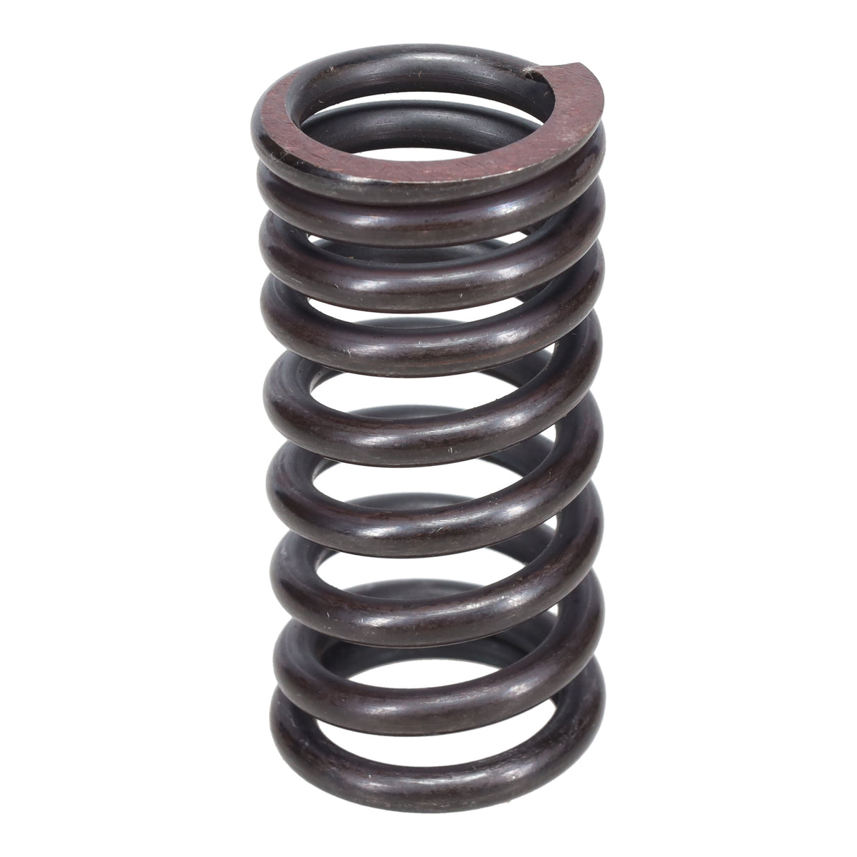 Valve Spring