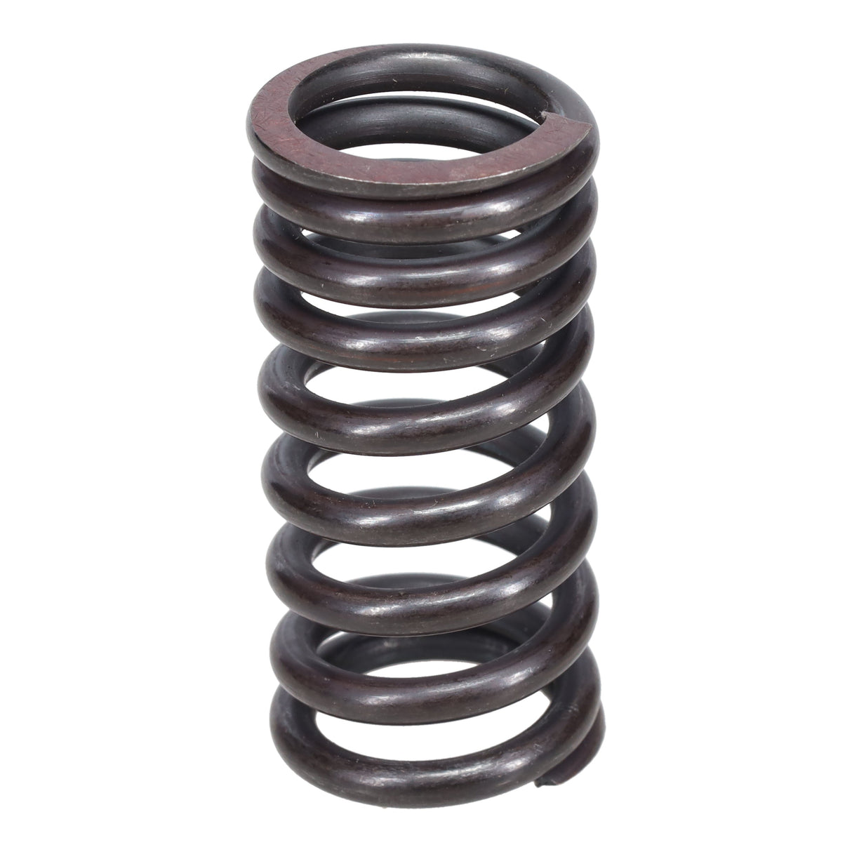 Valve Spring