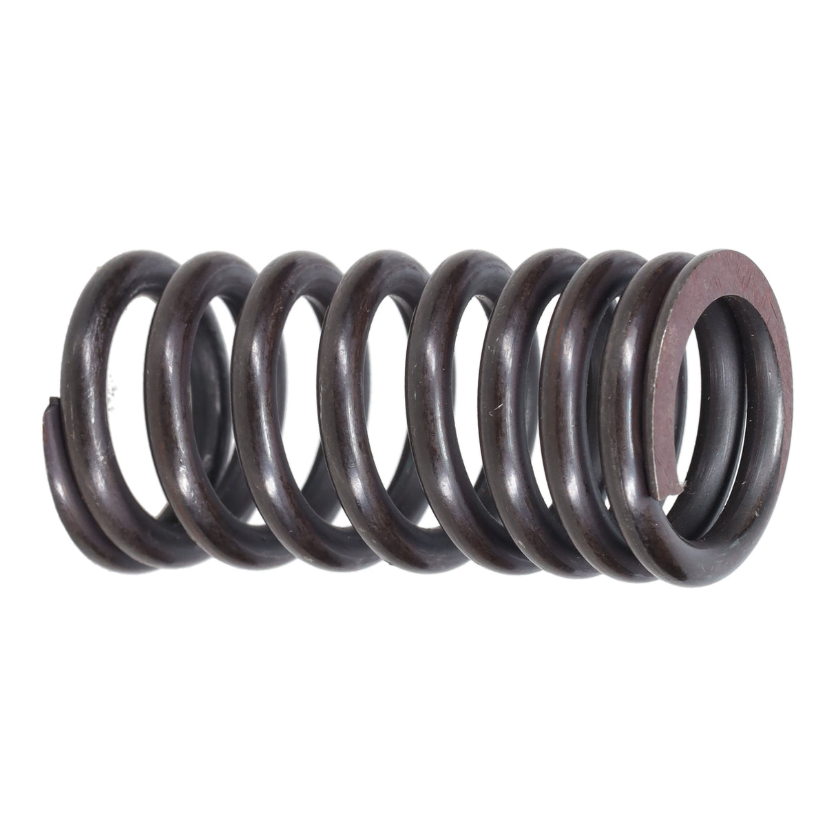 Valve Spring