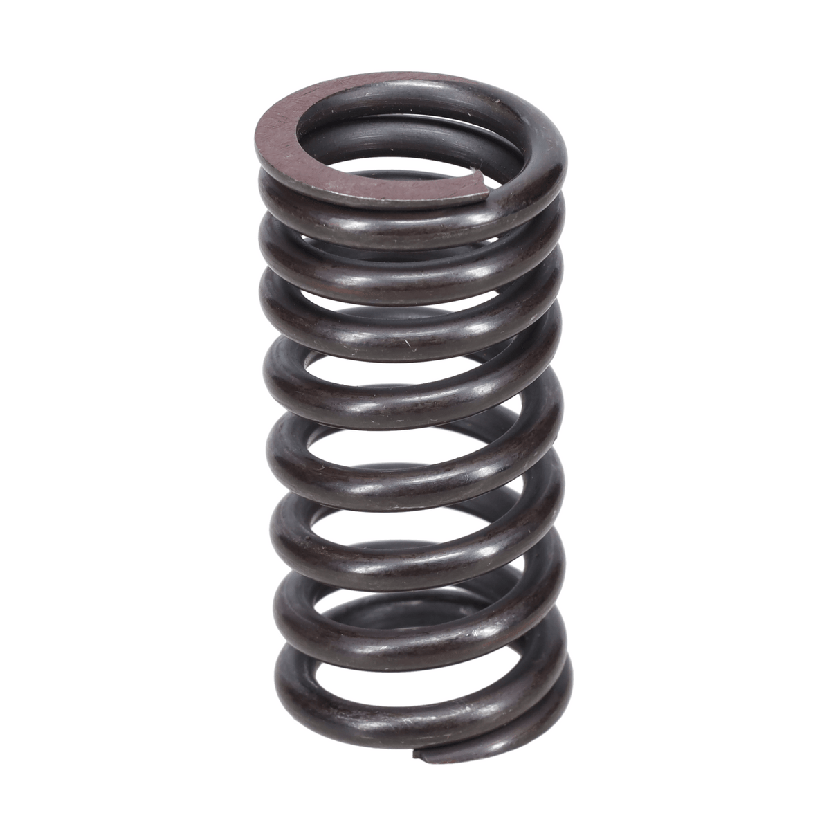 Valve Spring