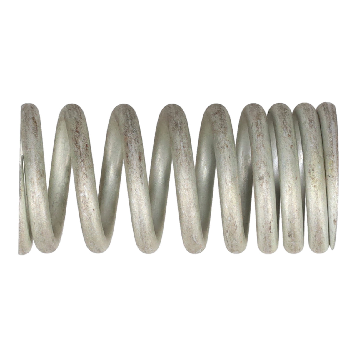 Valve Spring