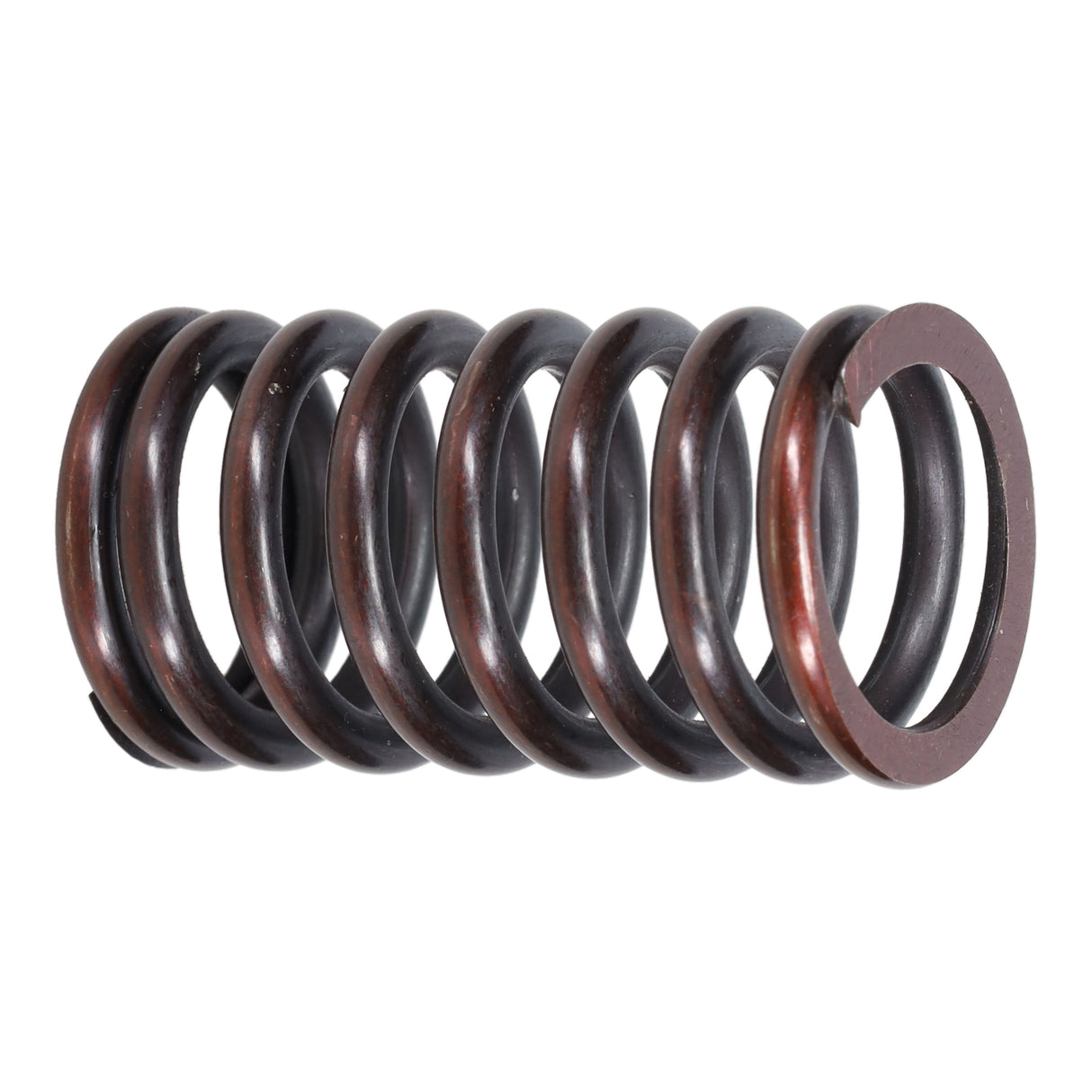Valve Spring
