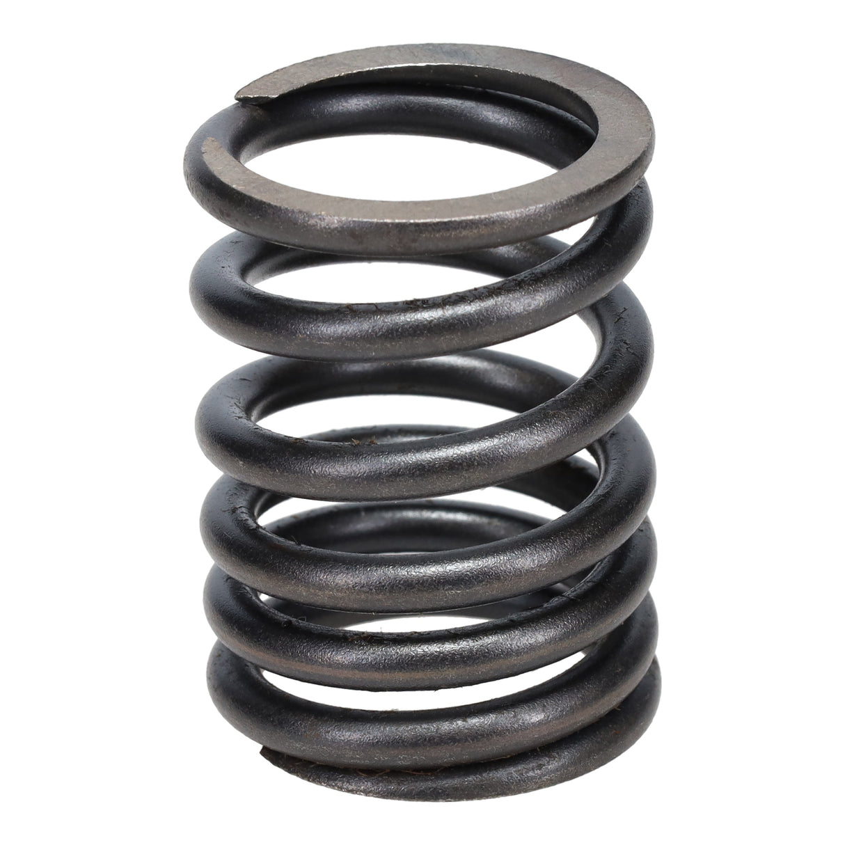 Valve Spring
