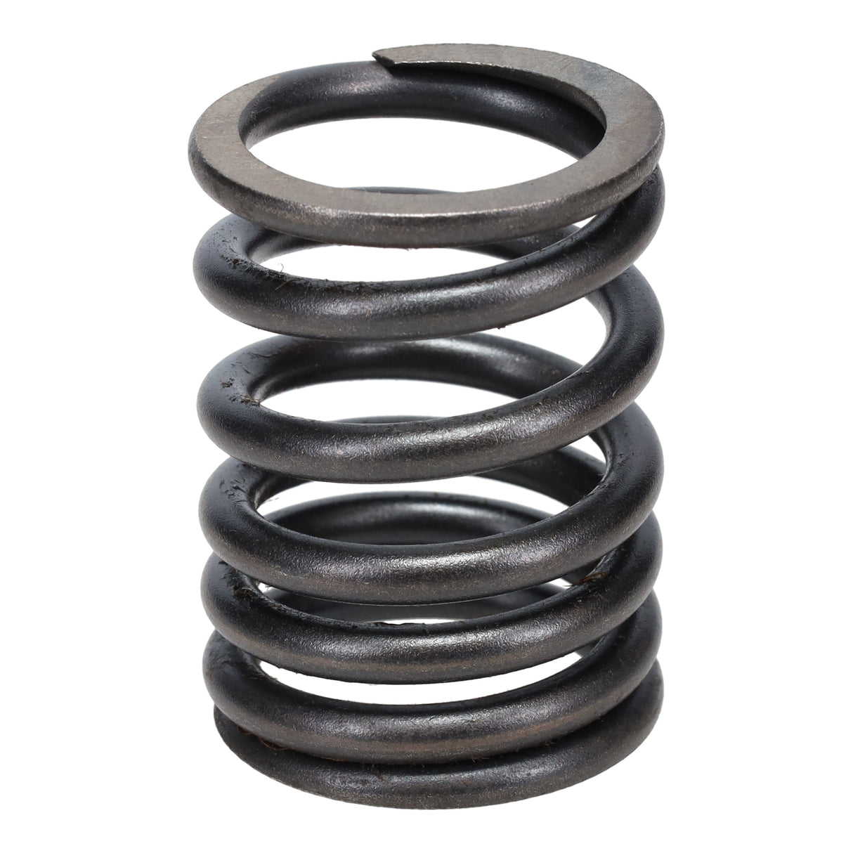 Valve Spring
