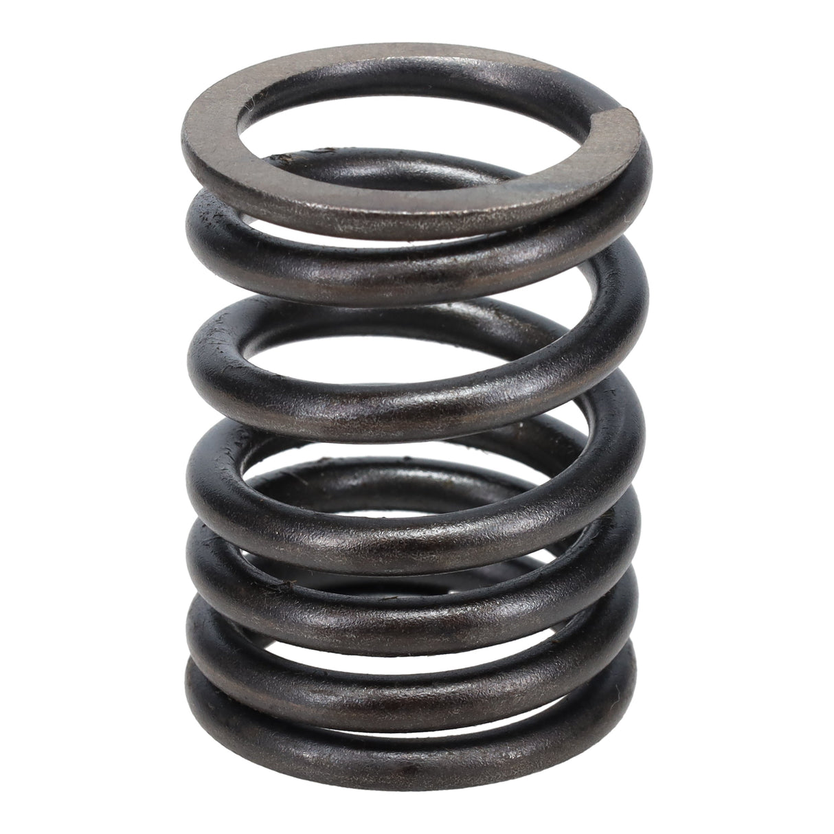 Valve Spring