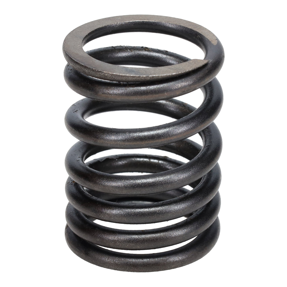 Valve Spring