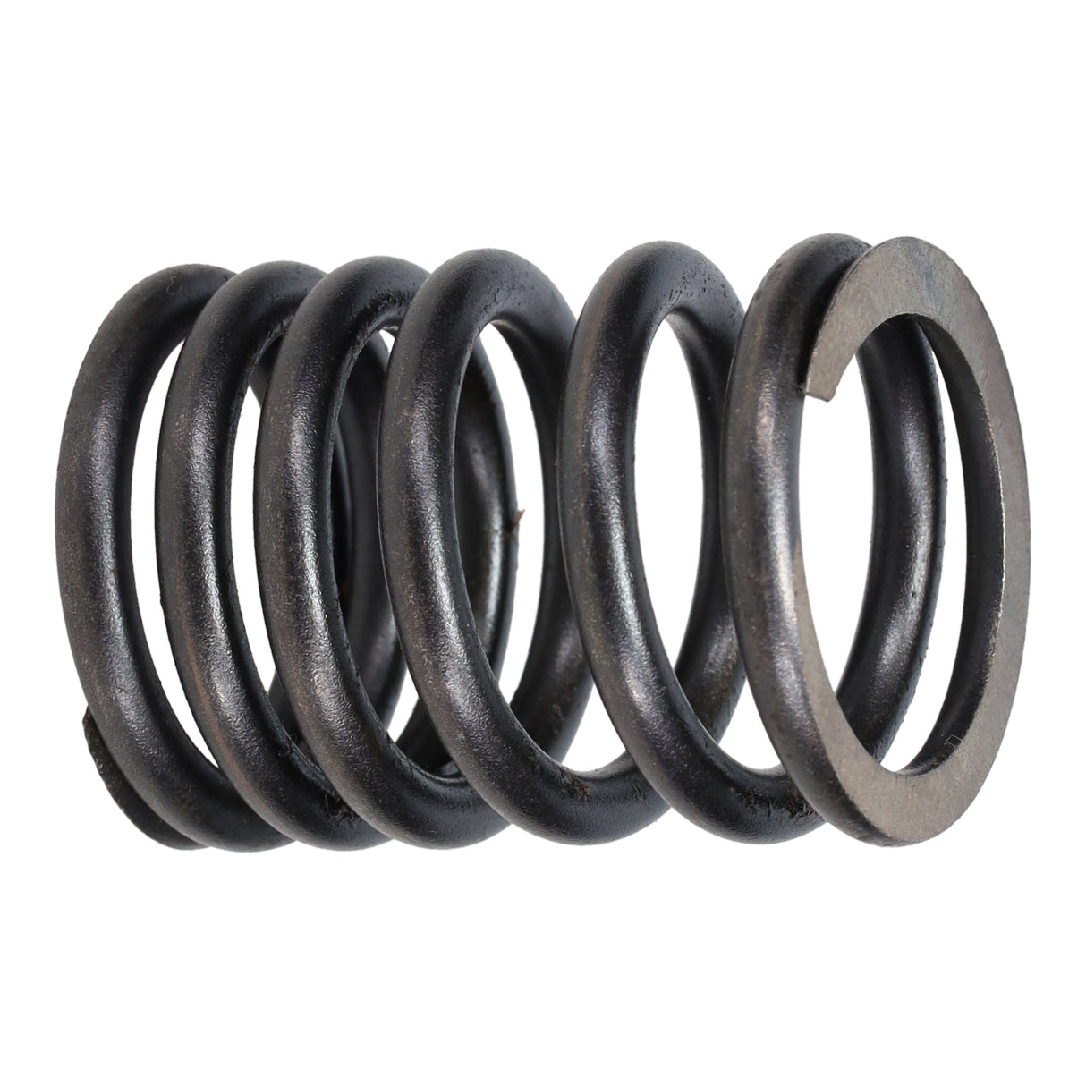 Valve Spring