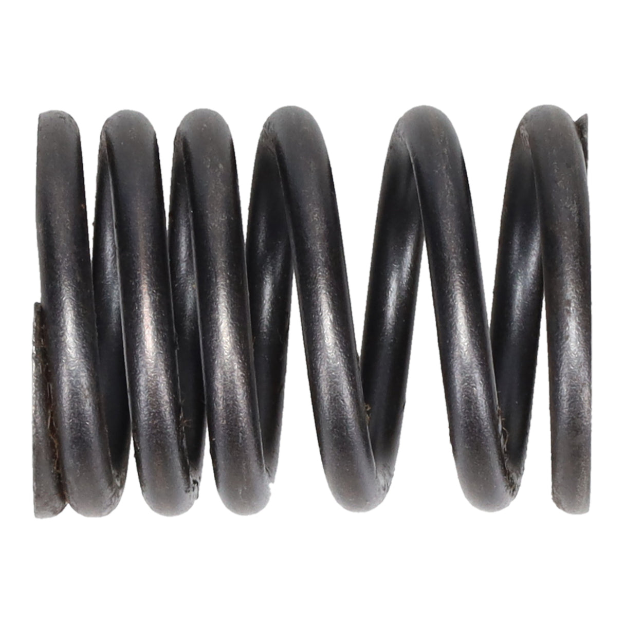 Valve Spring