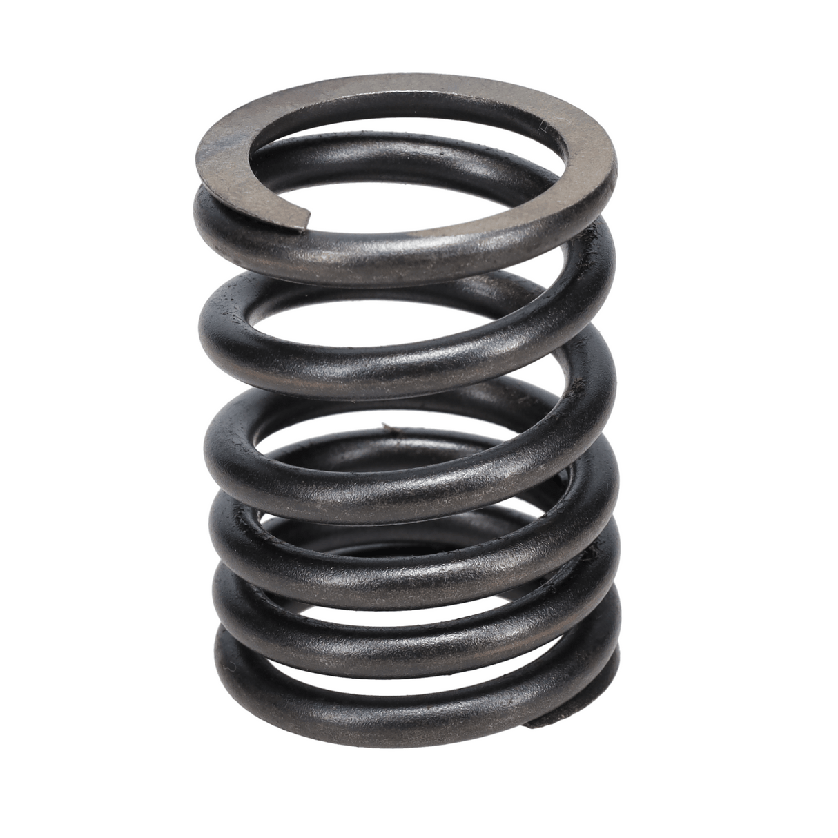 Valve Spring