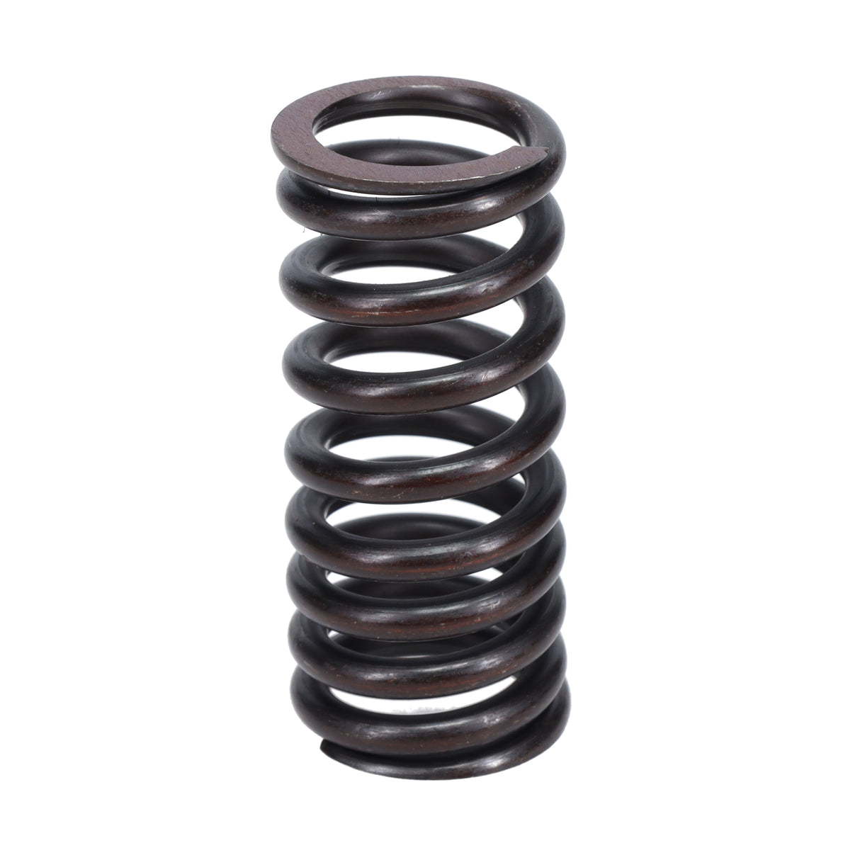 Valve Spring