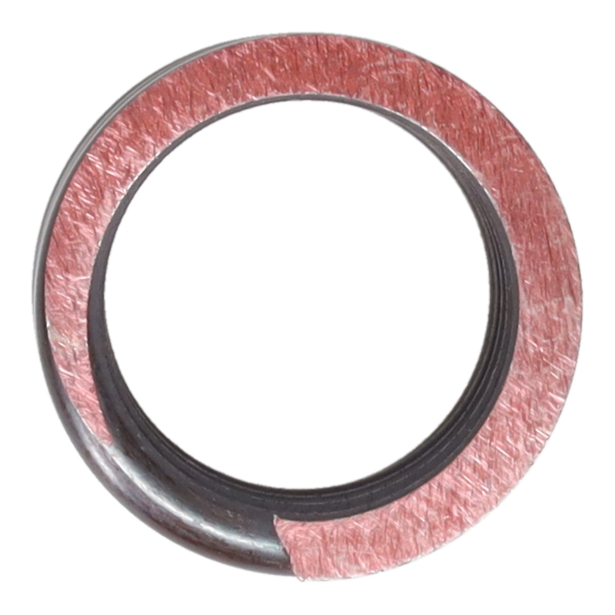 Valve Spring
