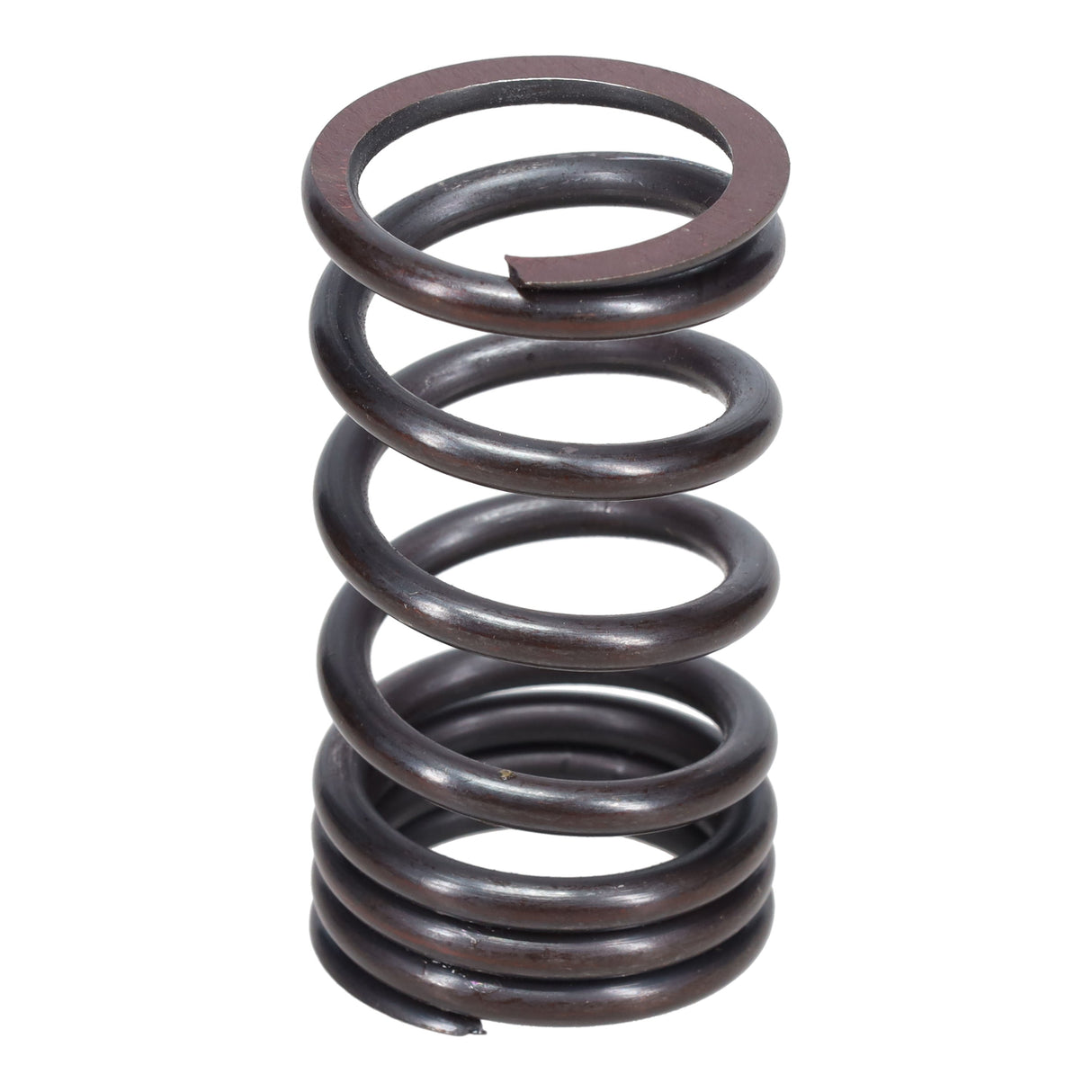 Valve Spring