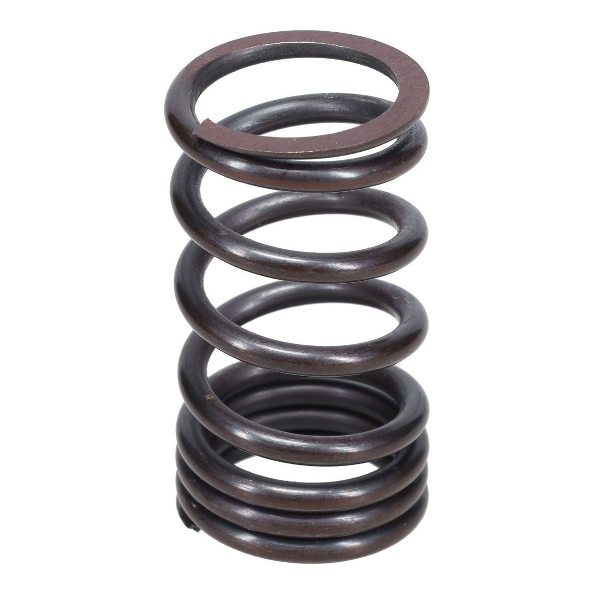 Valve Spring