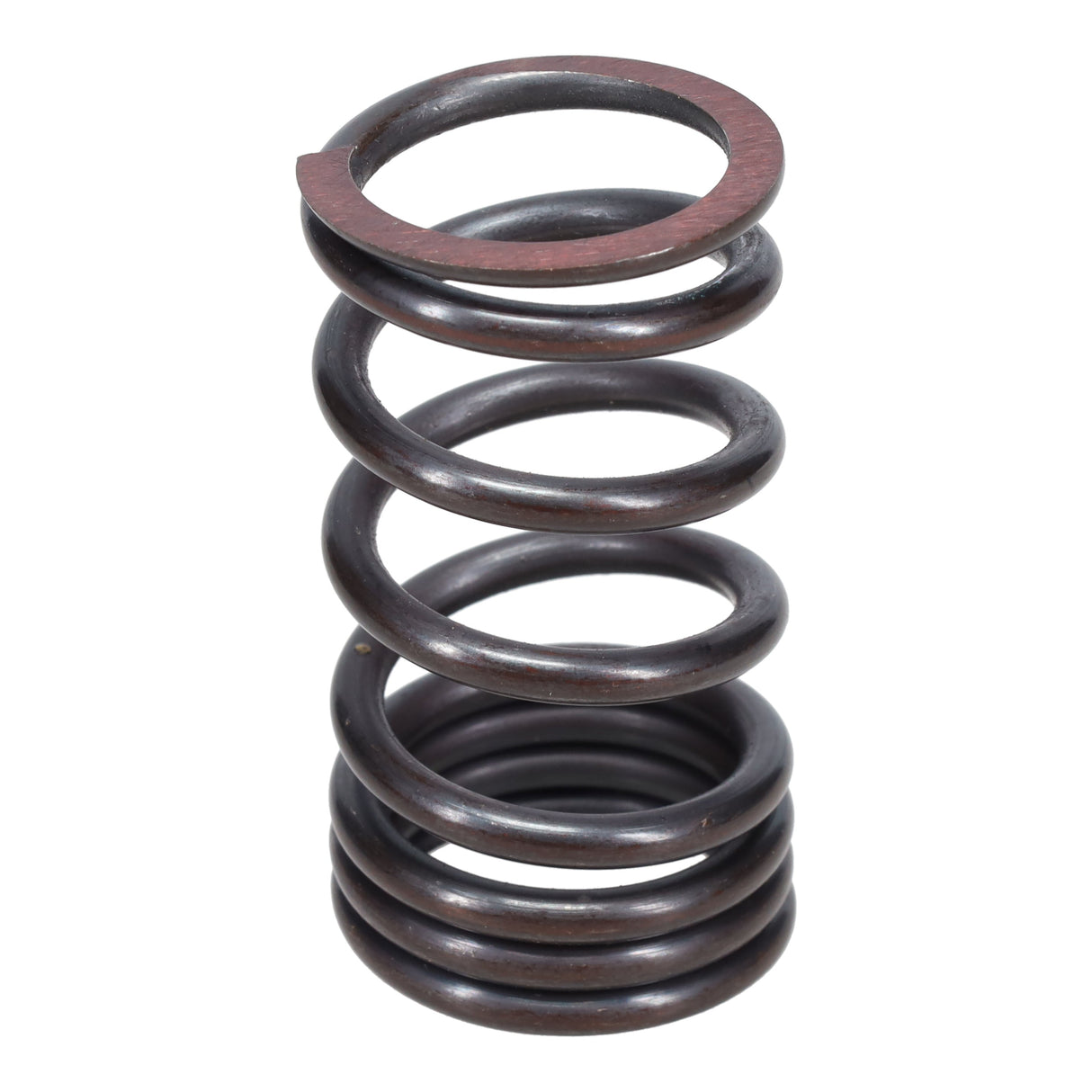 Valve Spring