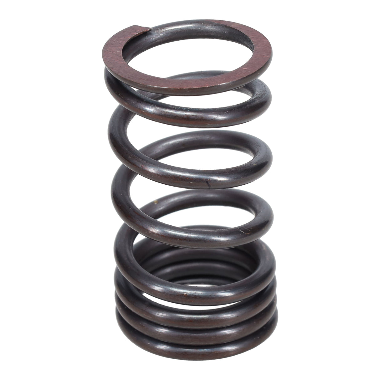 Valve Spring