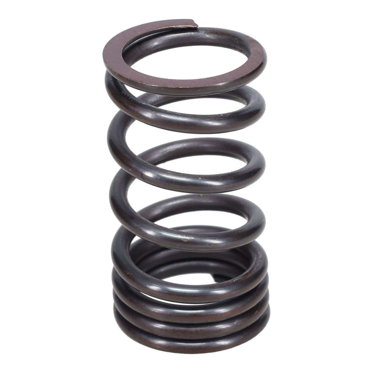 Valve Spring