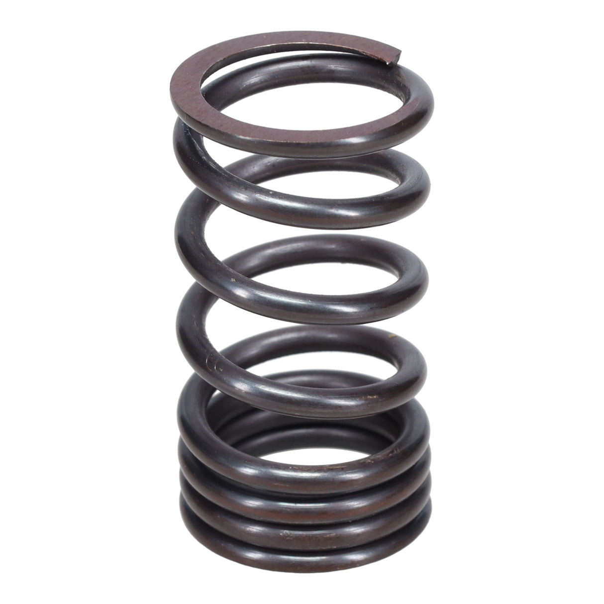 Valve Spring