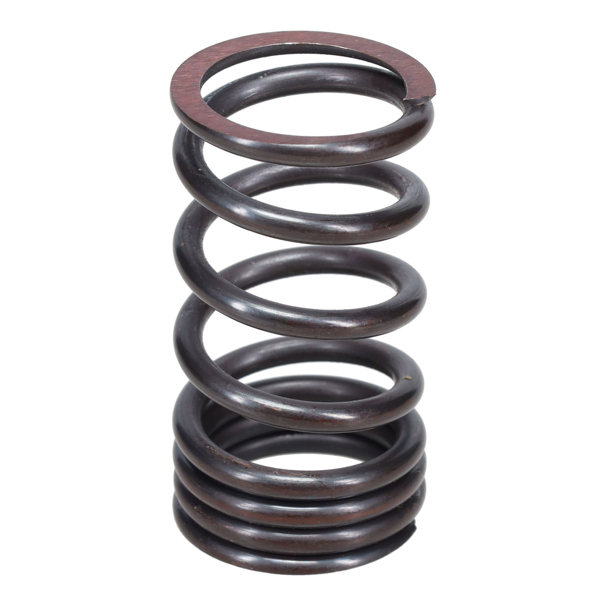Valve Spring