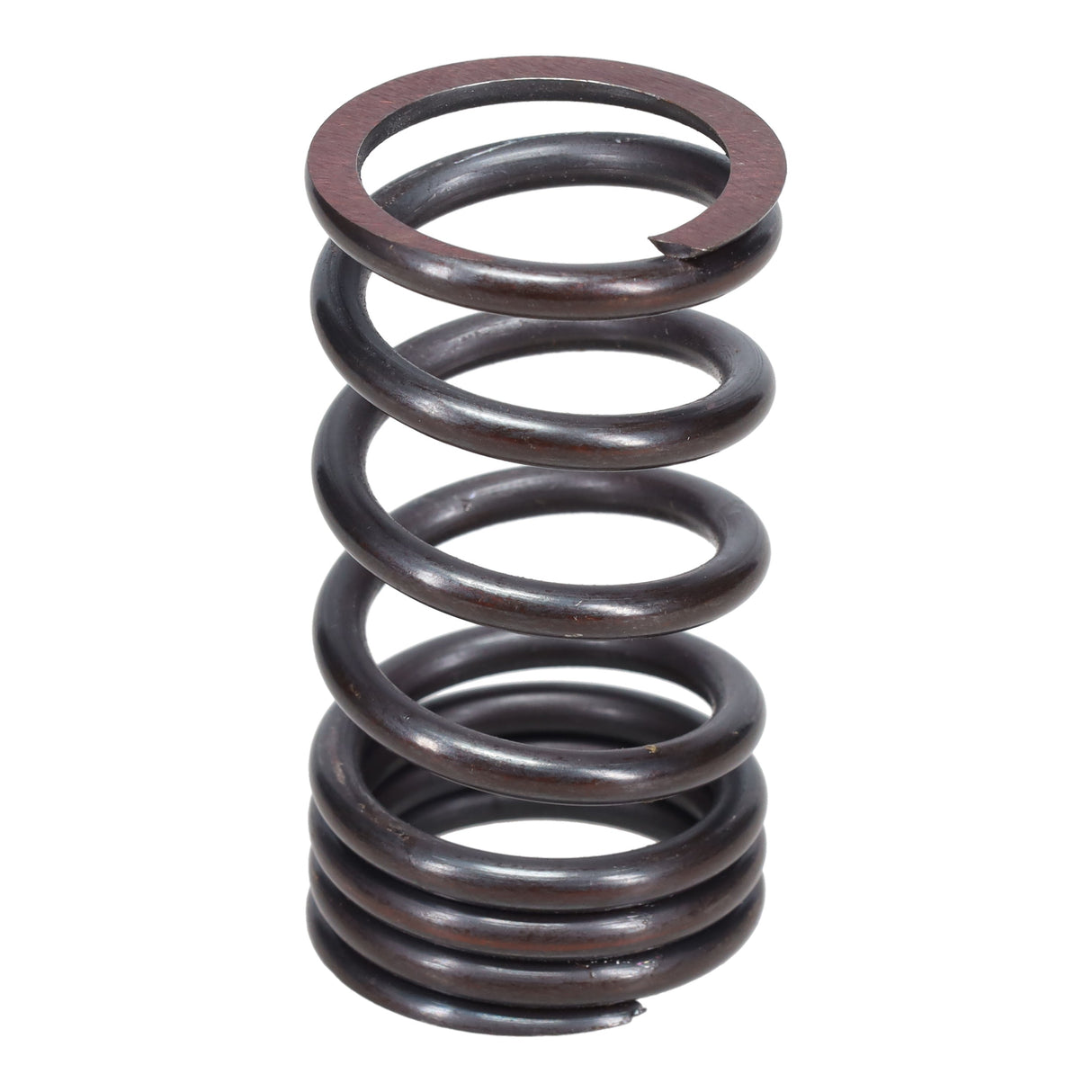 Valve Spring