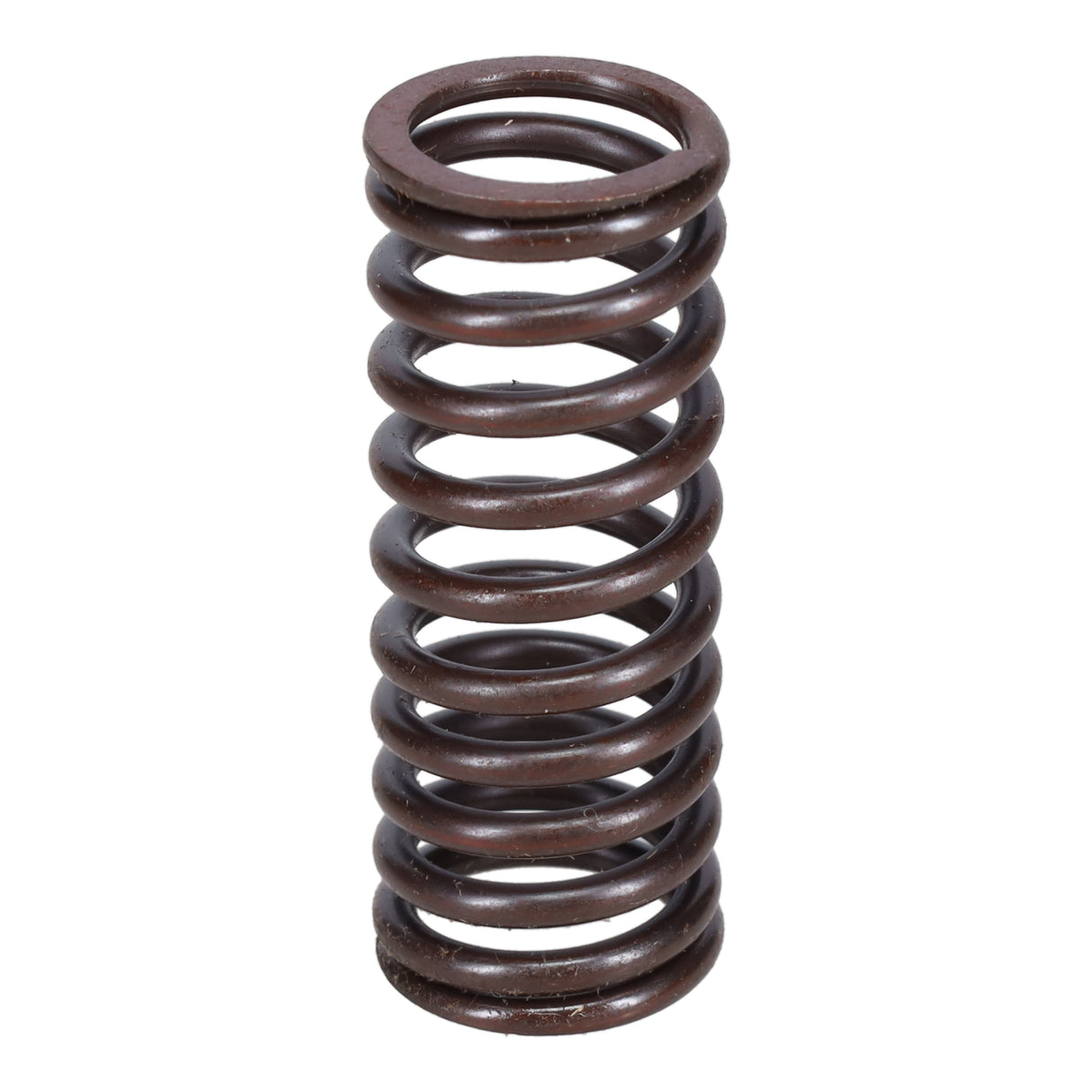 Valve Spring