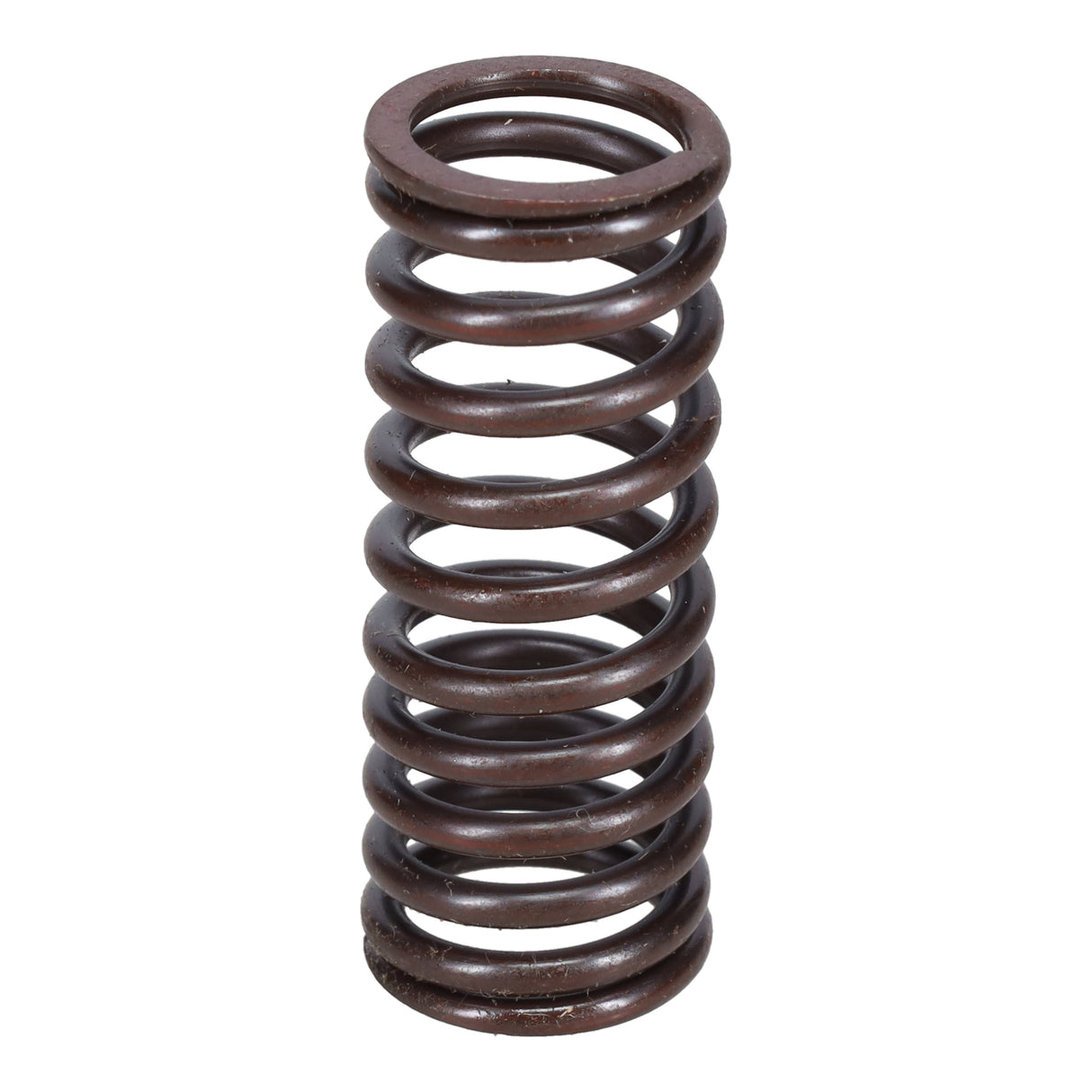 Valve Spring