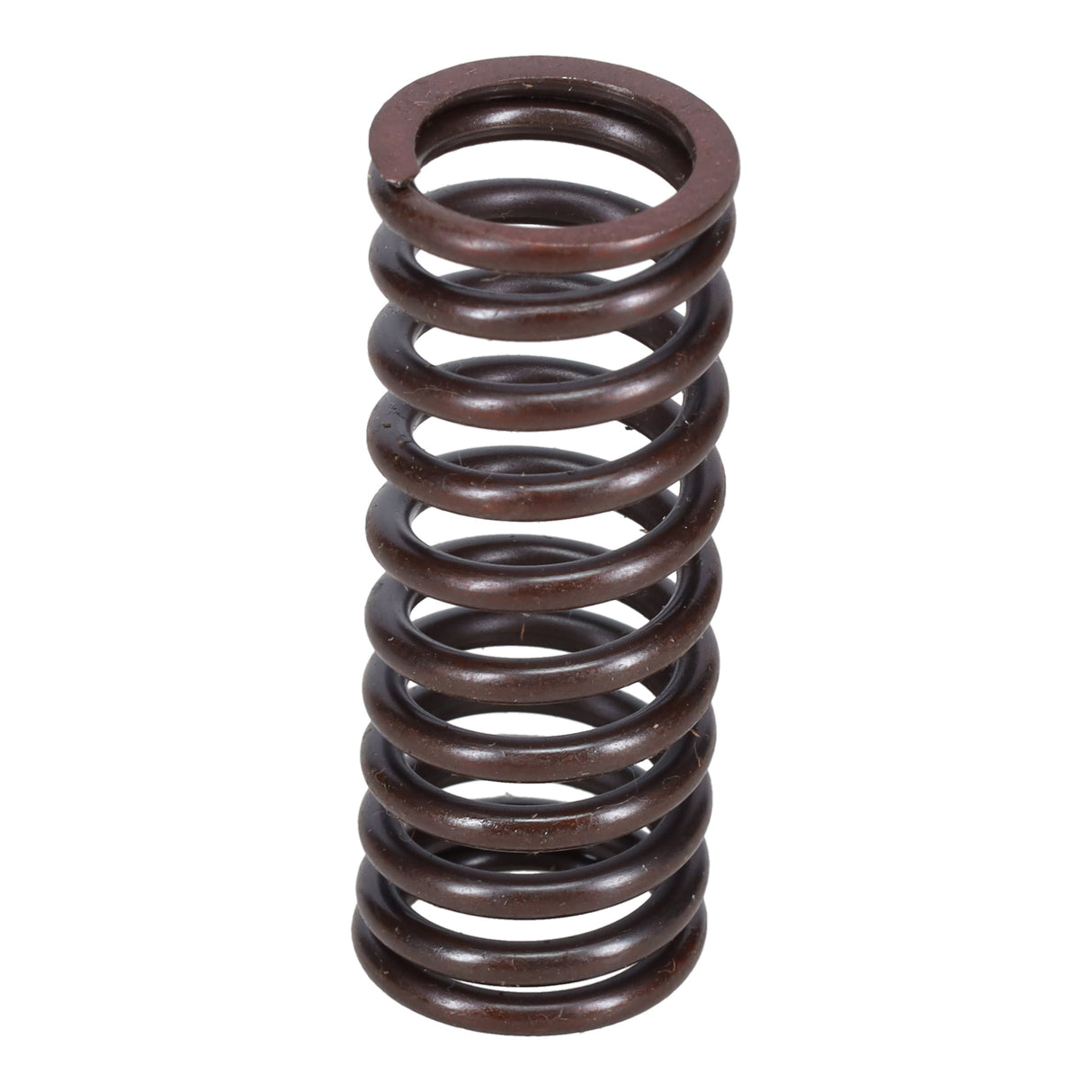 Valve Spring