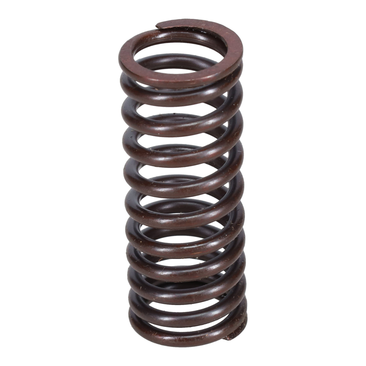Valve Spring