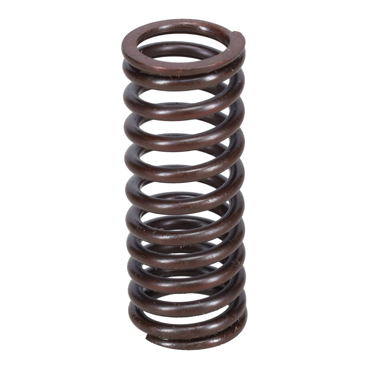Valve Spring