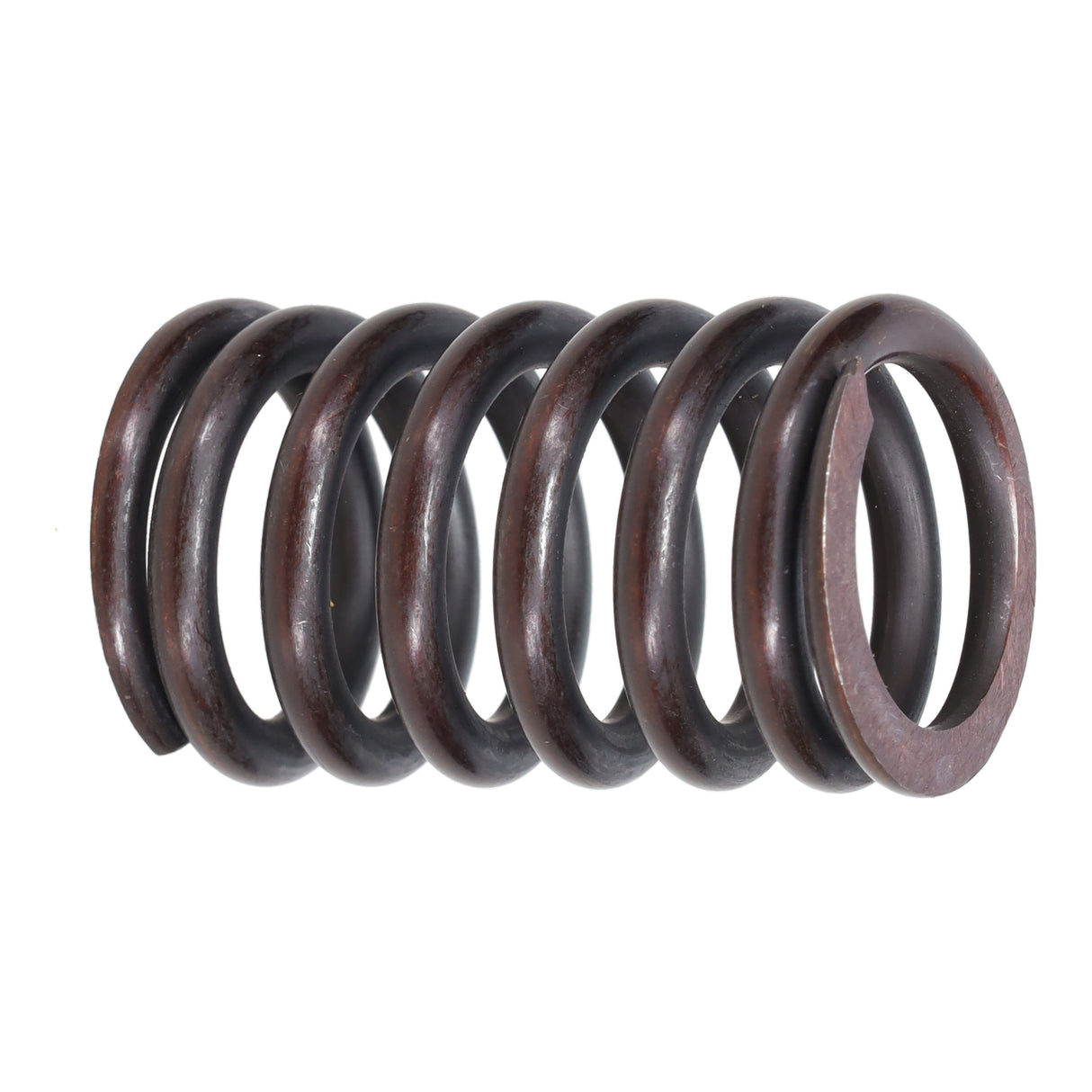 Valve Spring