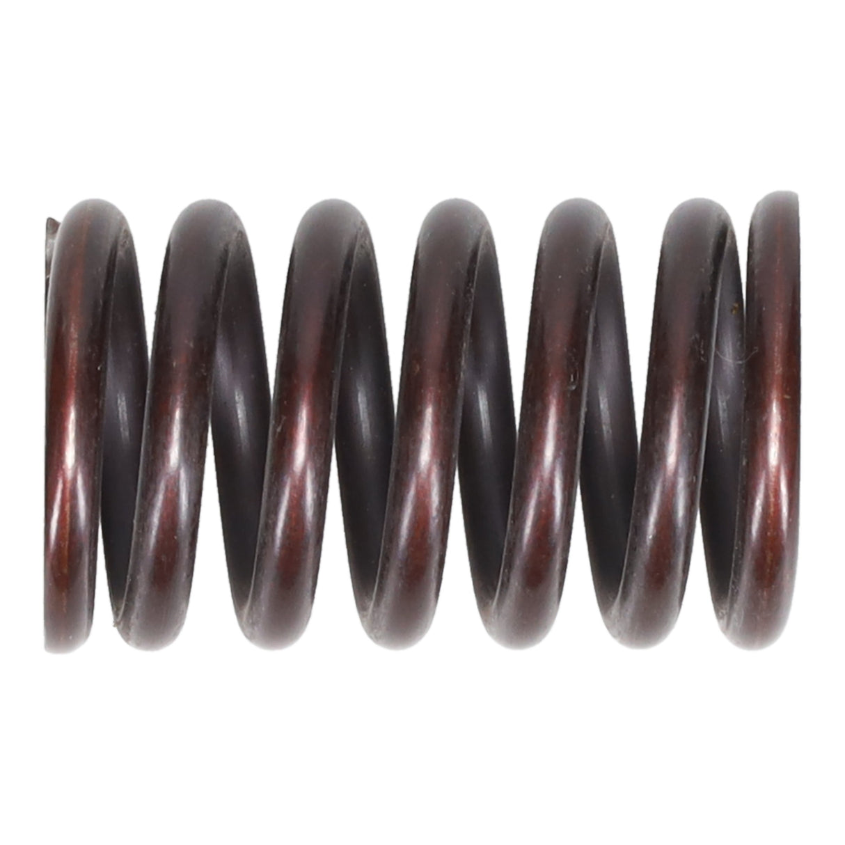 Valve Spring
