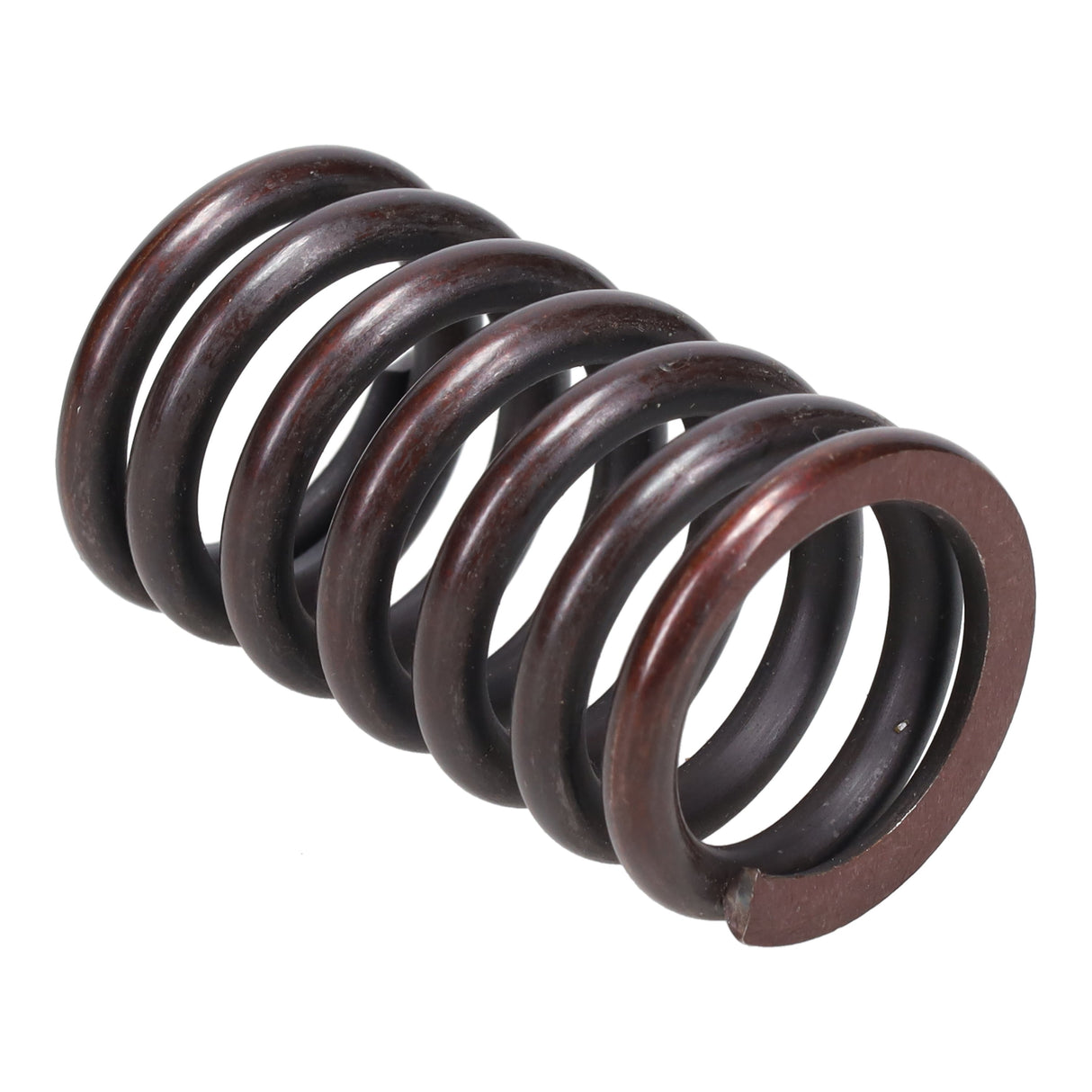 Valve Spring