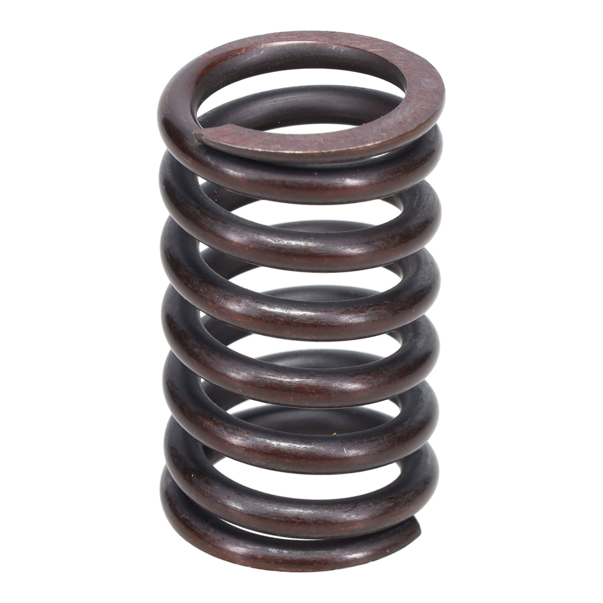Valve Spring