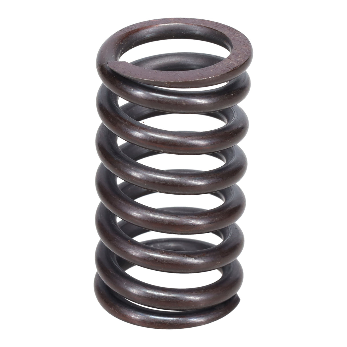 Valve Spring