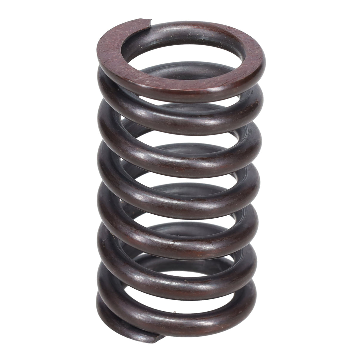 Valve Spring