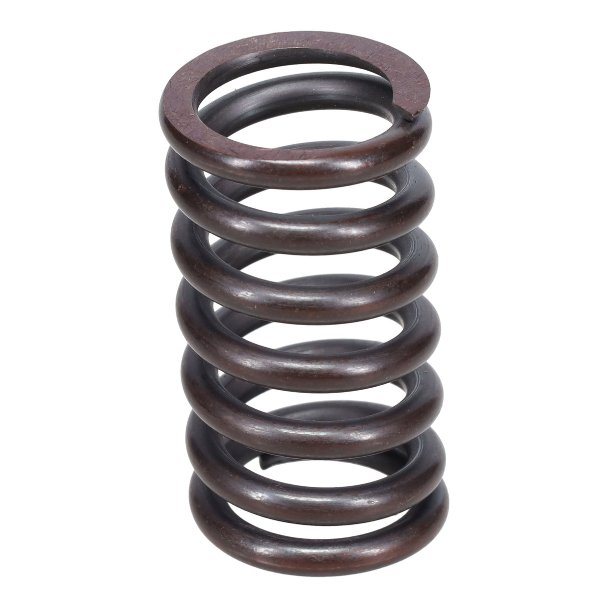 Valve Spring
