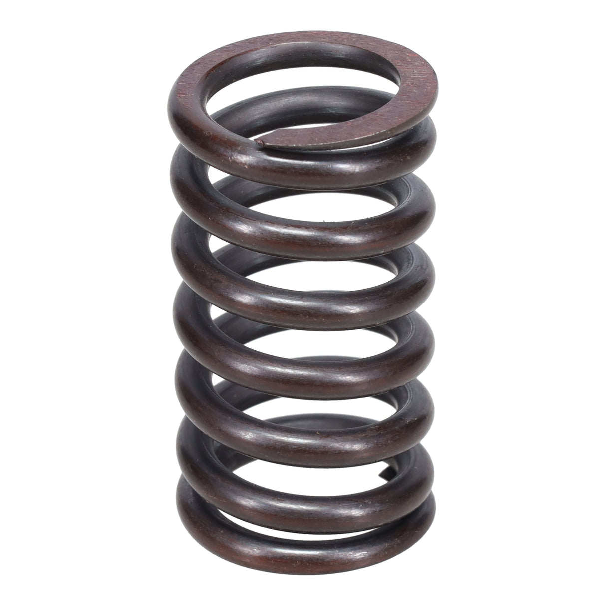 Valve Spring